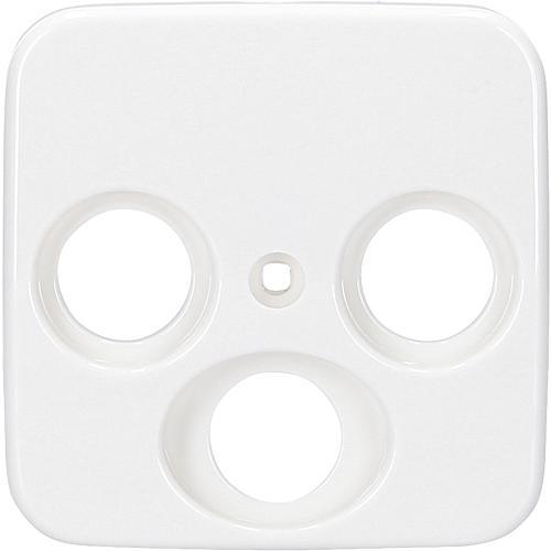 Actual product image Busch-Jaeger Central disk