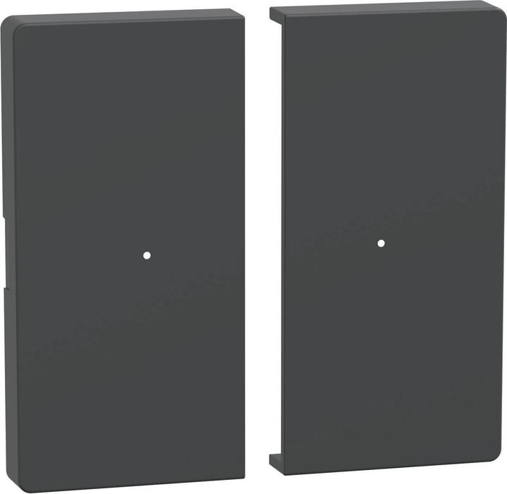 Actual product image Merten Rockers for push-button module 2gang, MEG5220-6034