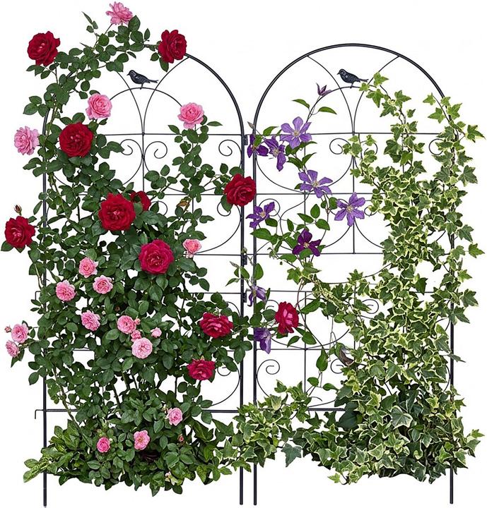 Produktbild Relaxdays Rankgitter-Set (1 cm, 50 cm)