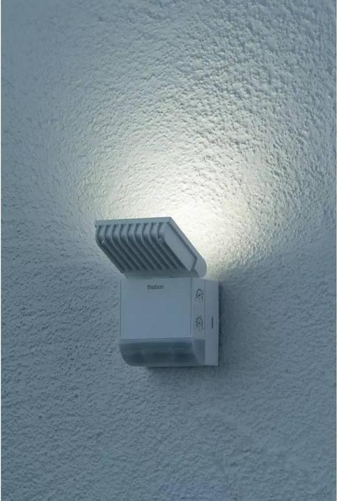 Actual product image Theben theLeda S8-100 WH (900 lm, IP55)