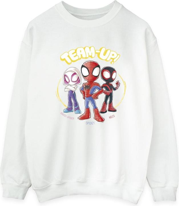 Immagine prodotto Spidey And His Amazing Friends Sketch Felpa Uomo (L)