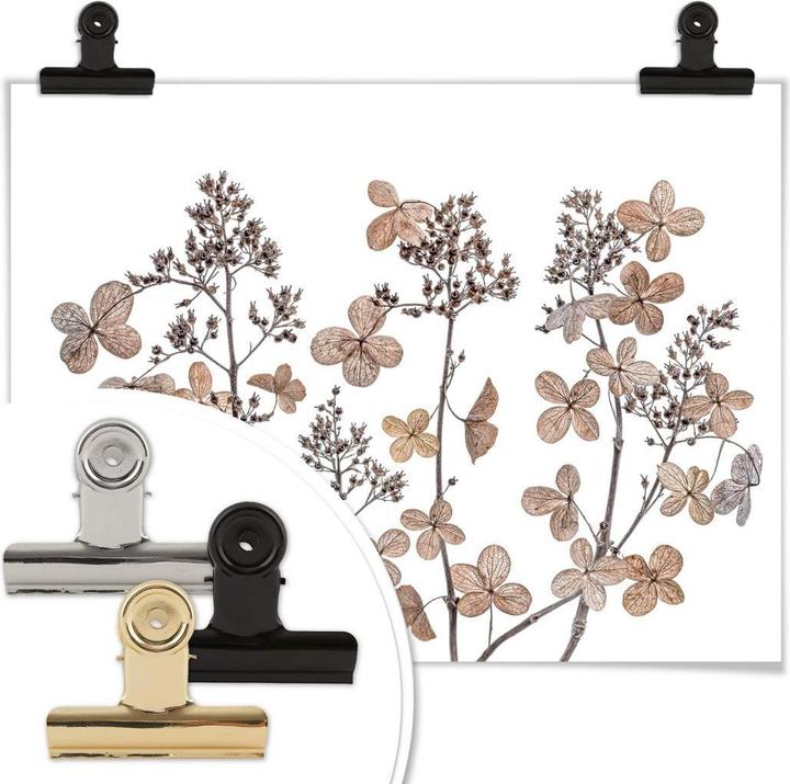 Image du produit Trenddeko Fleurs séchées (100 x 80 cm)