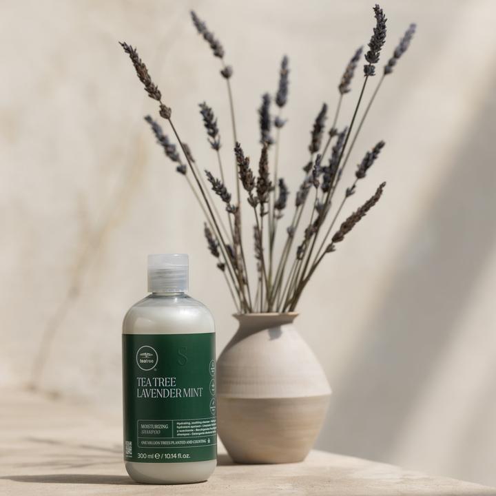 Actual product image Tea tree Tea Tree Lavender Mint (300 ml, Liquid shampoo)