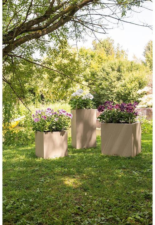 Image du produit Lechuza Colonne Canto Color (30 x 30 x 56 cm)