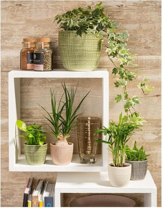 Actual product image Scheurich Flowerpot (19 cm)