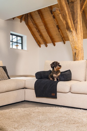 Productafbeelding Designed by Lotte Geribbeld (Hond)