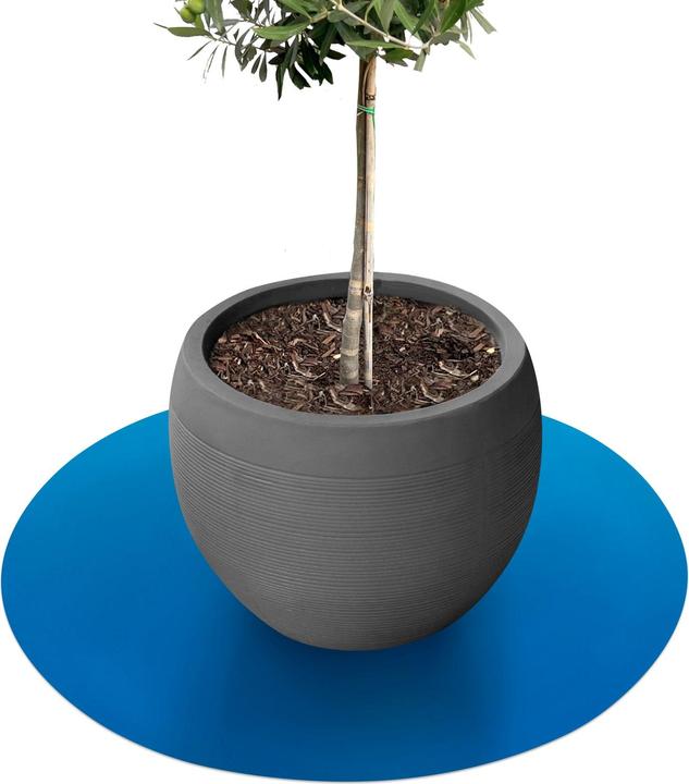 Immagine prodotto Karat Majesty