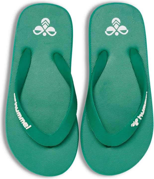 Pepper Green