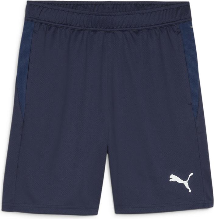 Puma teamGOAL Training Short (3XL)