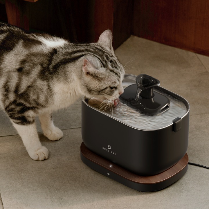 Actual product image Petlibro Dockstream App (2.50 l)