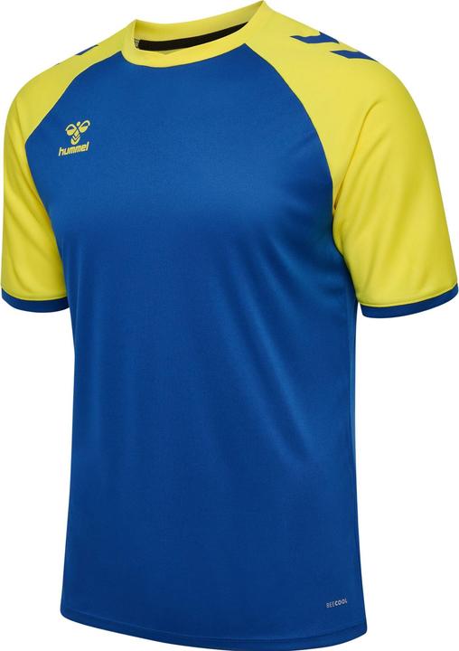 Blazing Yellow, True Blue