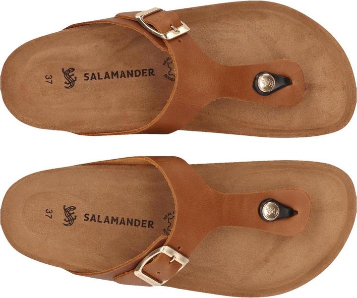 Image du produit Salamander Basic Zehenstegsandalen (41)