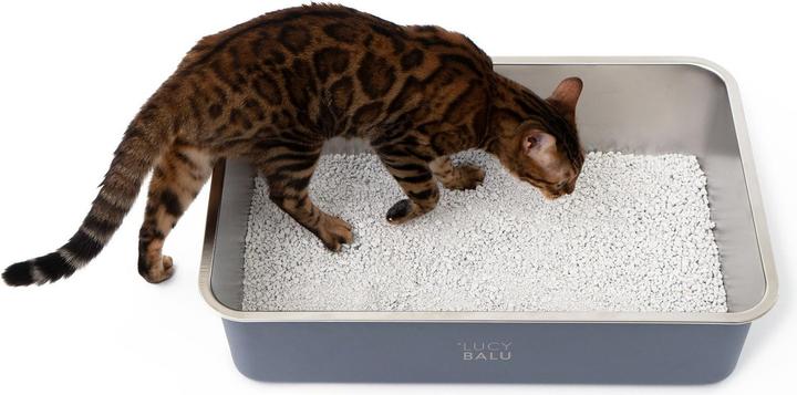Produktbild LucyBalu Steeloo (Katzenklo offen)