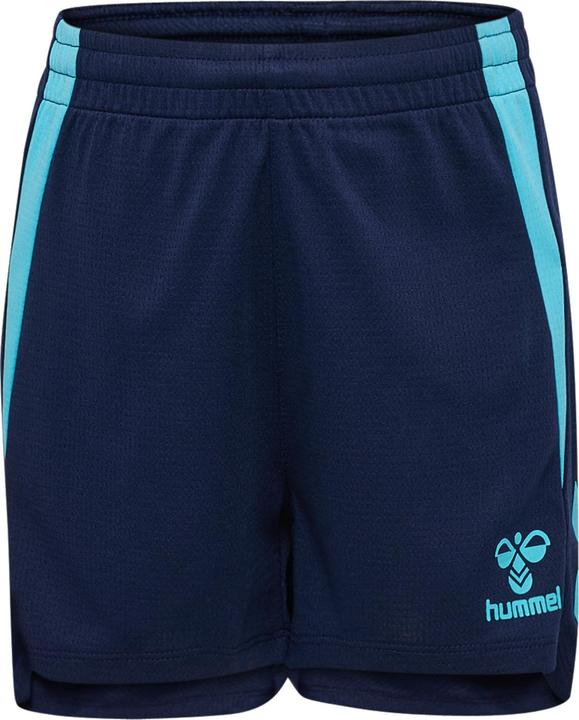 marinebluefish, navy/blue fish