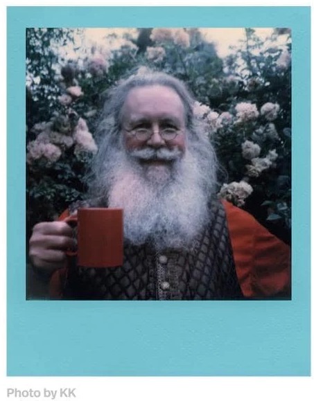 Actual product image Polaroid Color 600 Film (Polaroid 600)