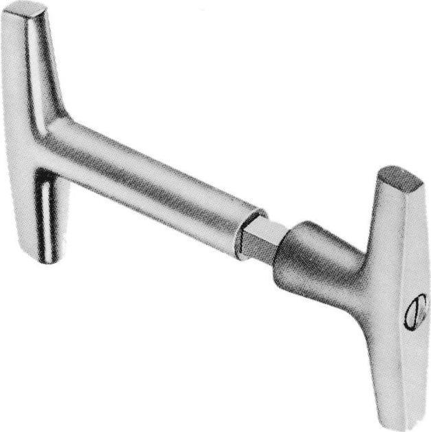 Actual product image Schänis Olive garnish