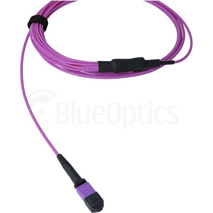 BlueOptics LWL MTP/8xSC Duplex Breakout Kabel OM4 10 Meter (10 m), Netzwerkkabel