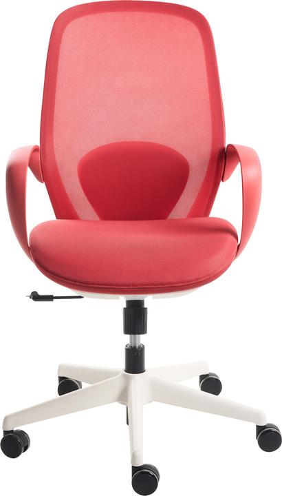 Actual product image Beliani Foama (44 - 54 cm)