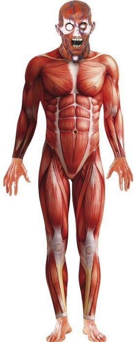 Immagine prodotto Smiffys Anatomia di Uomo (M)
