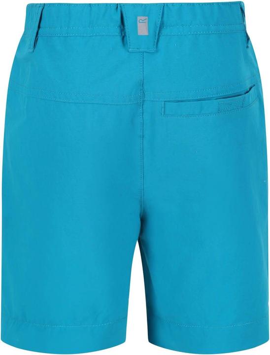 Actual product image Regatta Childrens/Kids Highton Walking Shorts (116)