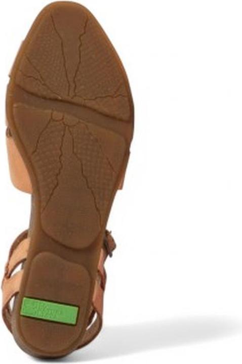 Image du produit El Naturalista Stella (36)