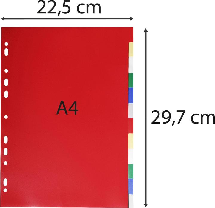 Produktbild Exacompta Register A4teilig PP Farben sortiert