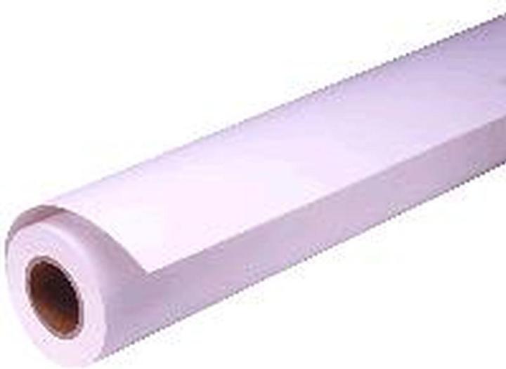 Image du produit Epson Presentation Matt Paper, 24" x 25 m (172 g/m², 2500 cm, 61 cm)