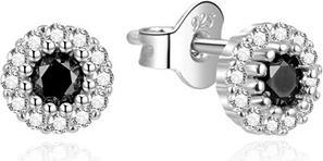 Produktbild Agato Sparkling silver earrings with zircons AGT-E002PBK