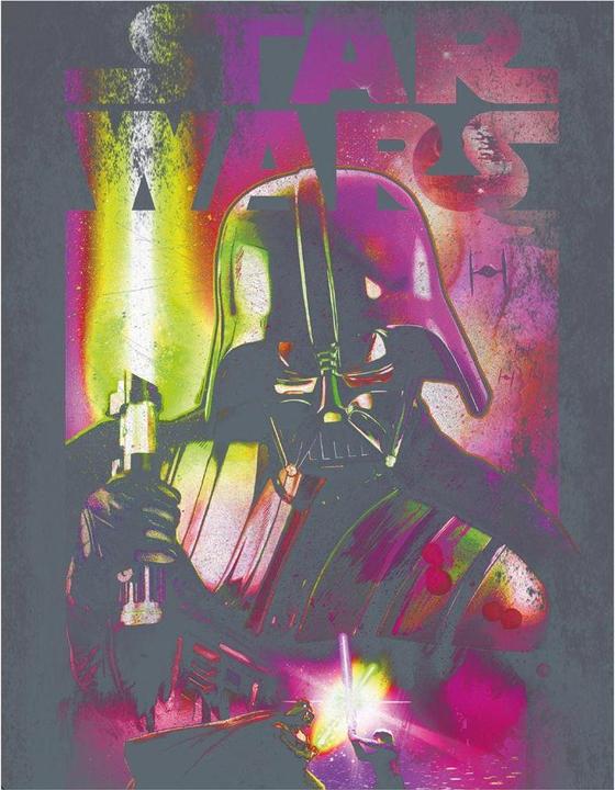 Produktbild Star Wars Gerahmter Leinwanddruck (40 x 30 cm)