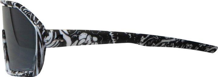 Produktbild ALPINA SPORTS Bonfire (Blackbird Matt, Silver)