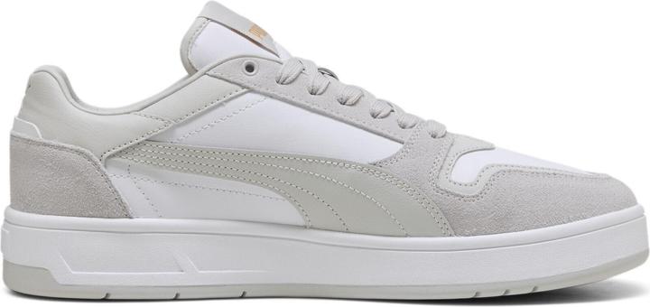 white-desert dust-gold