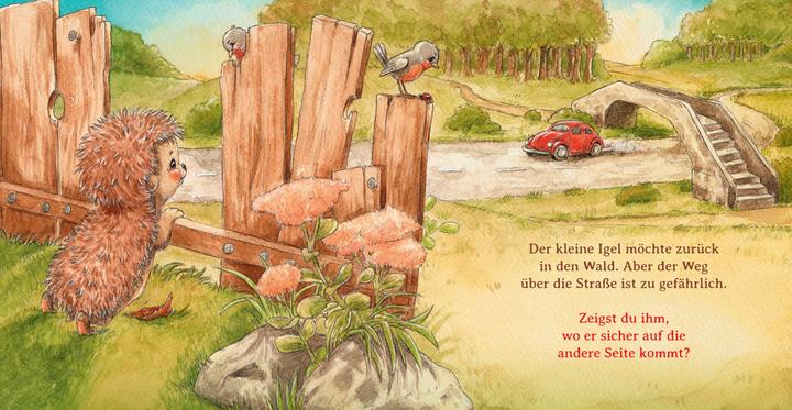 Produktbild Schlaf schön, kleiner Igel (Deutsch, Sophie Schoenwald, 2018)