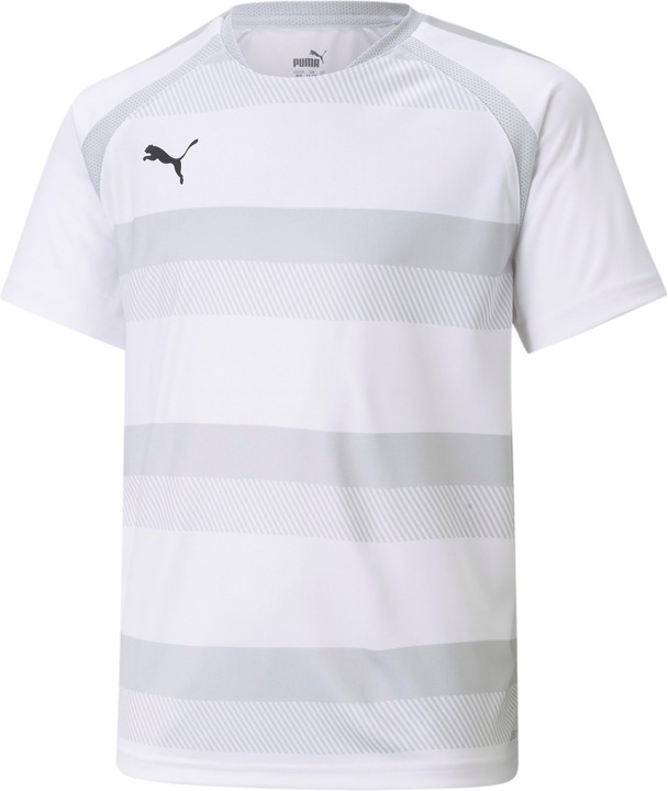 pumawhiteglaciergrayblack