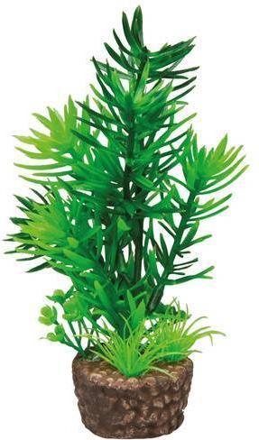 Produktbild Hobby Flora Stone 1 (Dekoration, Pflanzen)