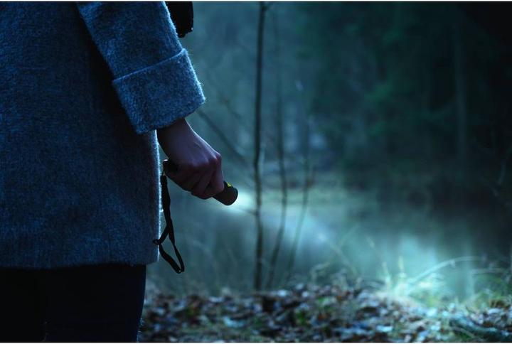 Actual product image Ansmann M100F LED Torch (10.40 cm, 115 lm)