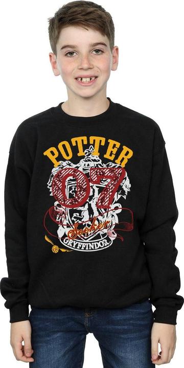 Actual product image Boys Gryffindor Seeker Sweatshirt (152, 158)
