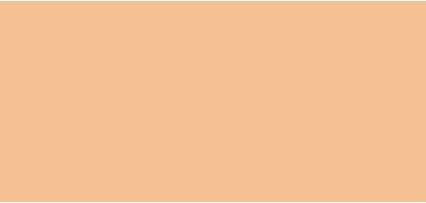 Giorgio Armani Power Fabric + Longwear High Coverage Foundation ( 3.25 ) (Camel)