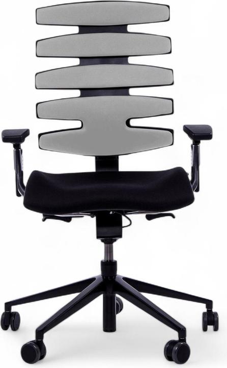 Actual product image Sitag SitagWAVE mit schwarzem Drehkreuz