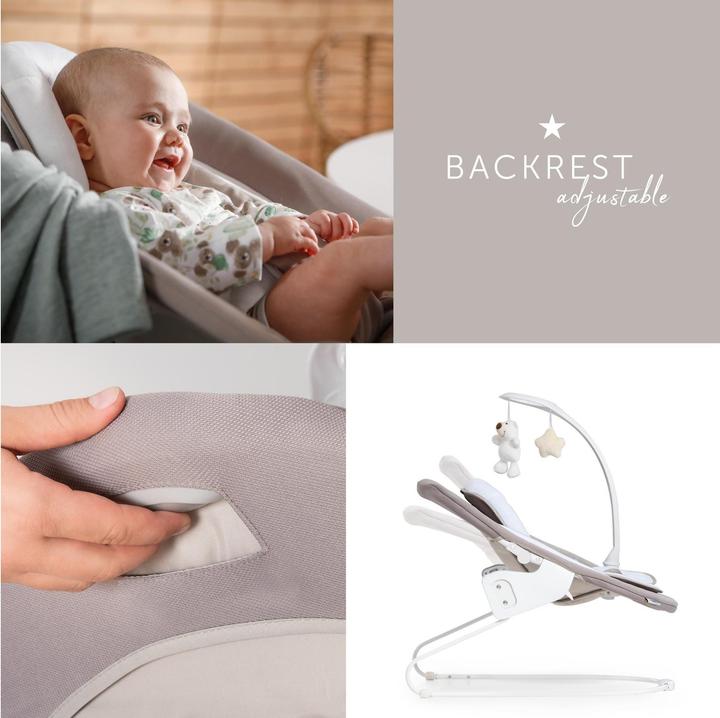 Actual product image Hauck Alpha Bouncer Deluxe