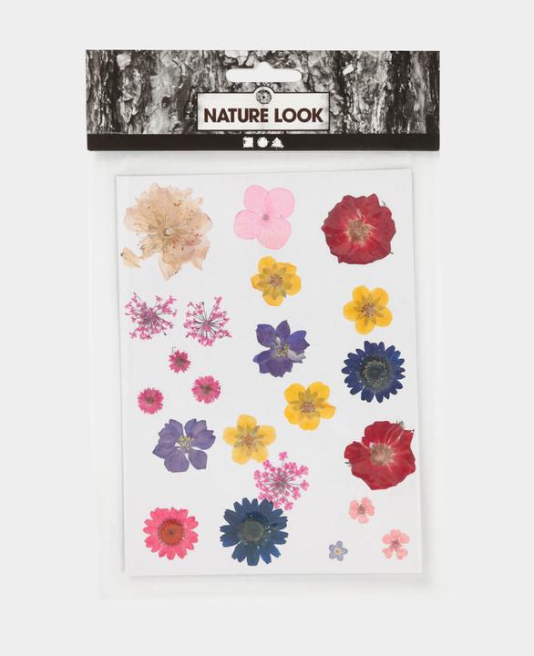 Actual product image Creativ Company Pressed (1 pcs.)