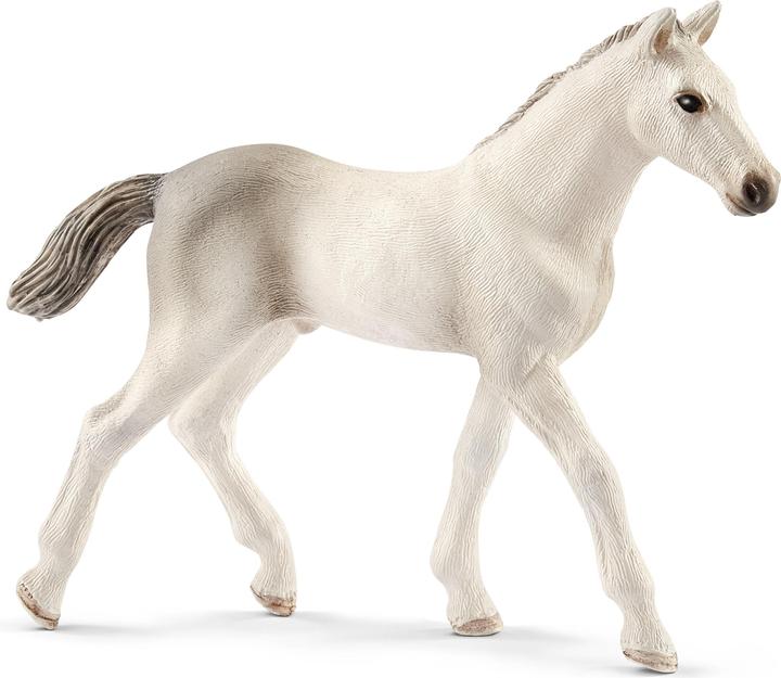 Actual product image Schleich Holstein foals