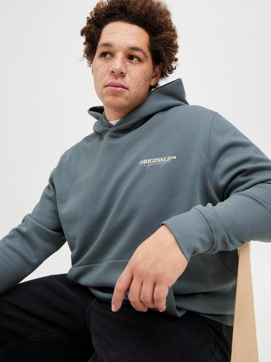 Produktbild Jack & Jones Plus Size Rückenprint Kapuzenpullover Kapuzenpullover (4XL)