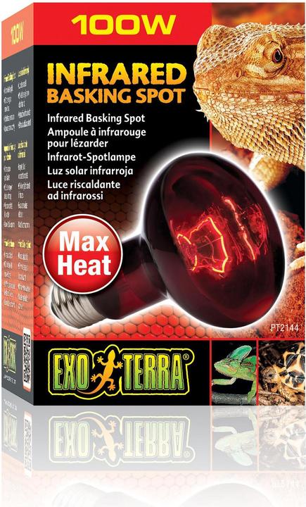 Actual product image Exo Terra Infrared Basking Spot R25/100W