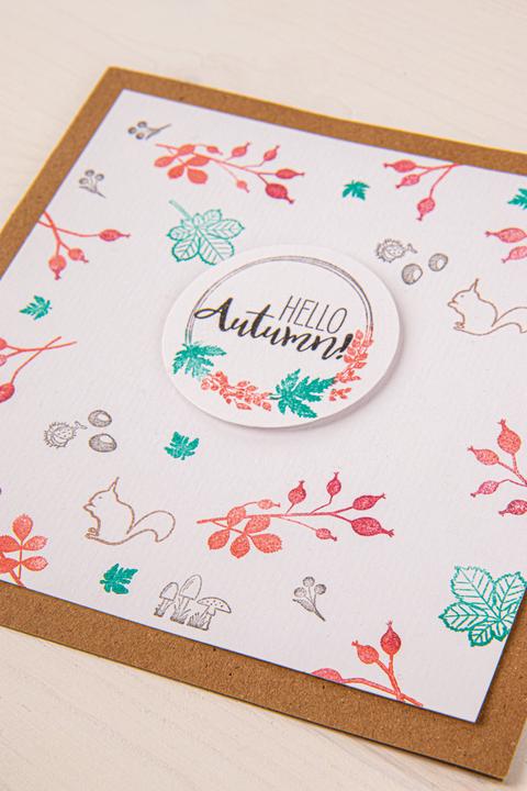 Produktbild Rayher Clear Stamps "Herbstwald"