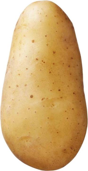 Produktbild Samen Mauser Saatkartoffel Annabelle (Gemüsesamen)