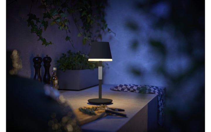 Image du produit Philips Hue Go (370 lm)