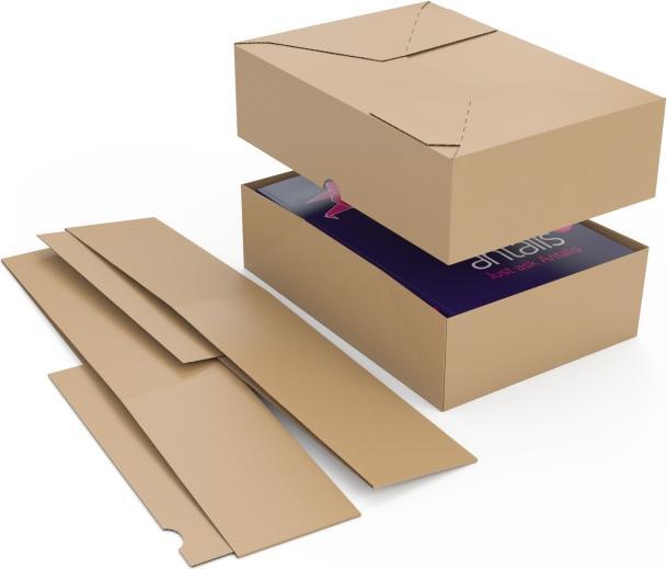 Immagine prodotto Antalis Scatola di spedizione 30,5 x 22 x 22 cm 2 pezzi, 25 pezzi, Bianco (22 x 30,5 x 20 cm, 25 x)