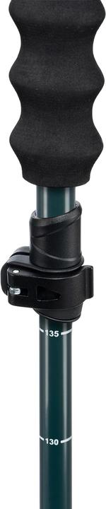 Actual product image Folkrm Pahto Ski Poles (105 - 135 cm)