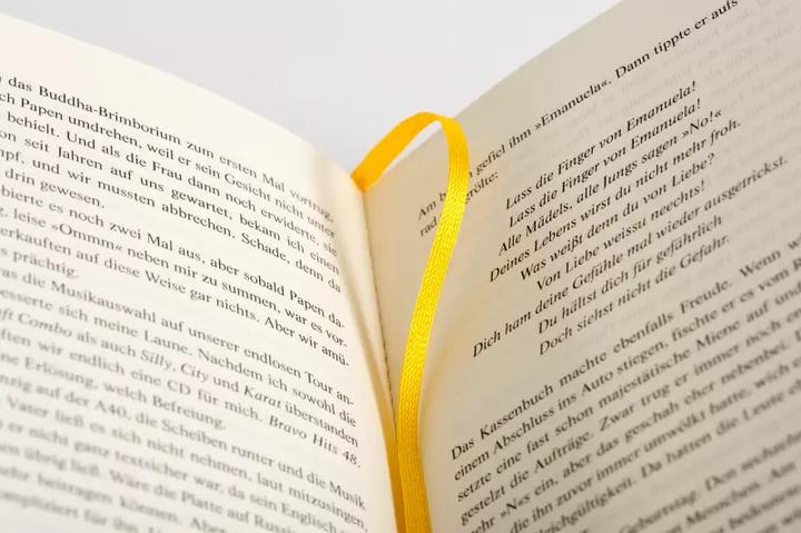 Immagine prodotto Der Markisenmann (Tedesco, Jan Weiler, 2022)