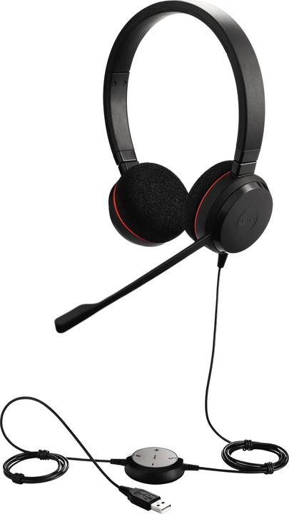 Actual product image Jabra Evolve 20 (Cable, USB-A)